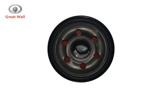 فیلتر روغن ولکس C30 