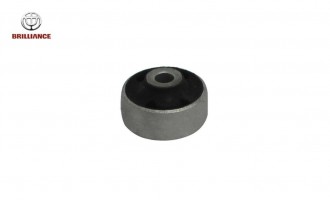 بوش طبق بزرگ ولکس C30