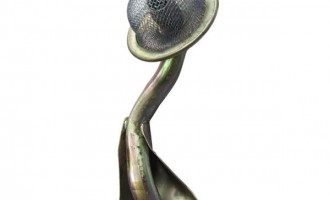 توری اویل پمپ ولکس C30