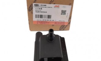 کوئل جک تی 8